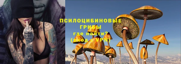 стаф Краснотурьинск
