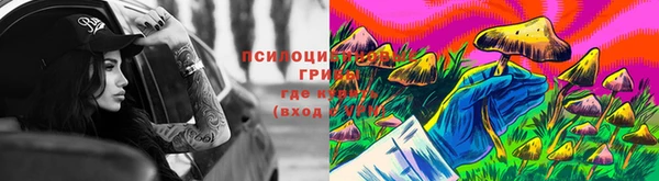стаф Краснотурьинск